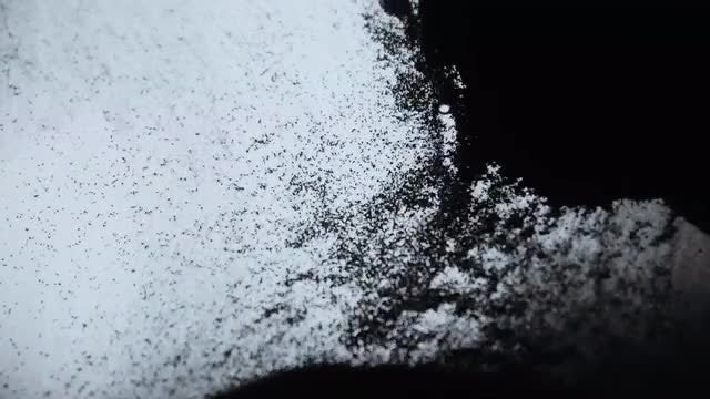 Black Particles In Water: Stock Video