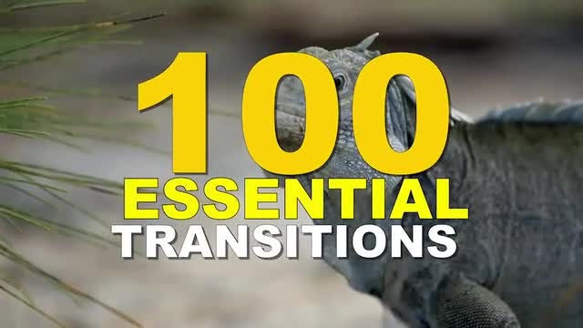 Seamless Transitions // Essential Package: After Effects Templates