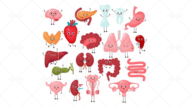 Seamless pattern with internal organs. Human body anatomy. Health care and  medical education background. #2923914