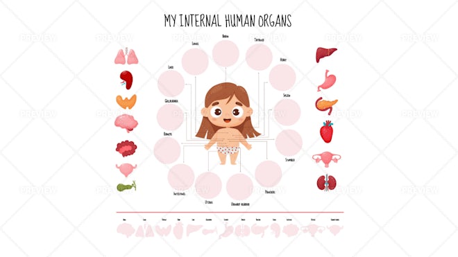 Seamless pattern with human internal organs. Cute cartoon