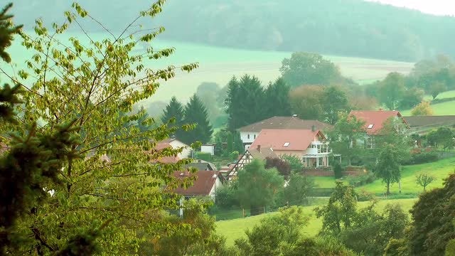 Green Landscape In Frankfurt: Stock Video