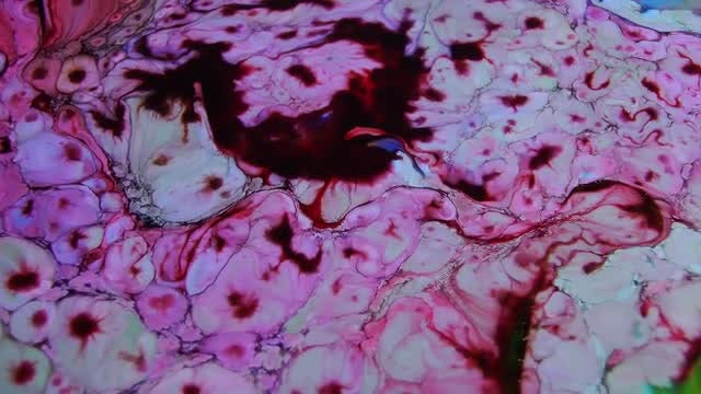 Red Paint Explosion: Stock Video