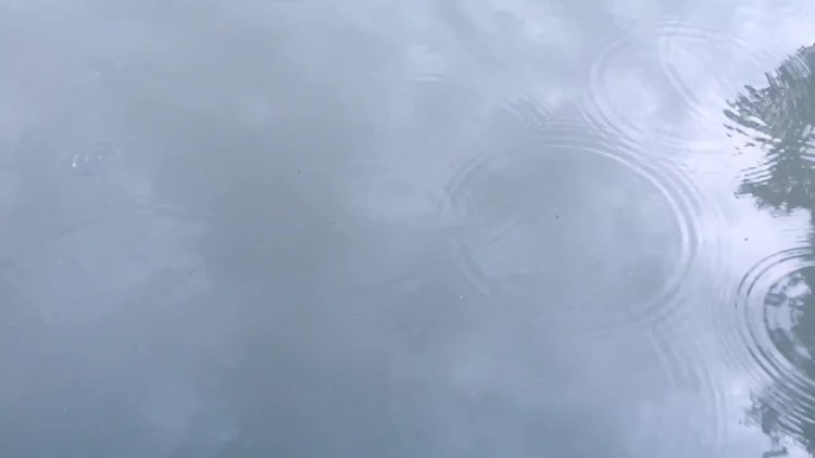 Raindrops In Puddle: Stock Video