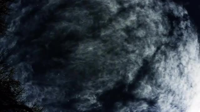 Night Sky Star Timelapse: Stock Video