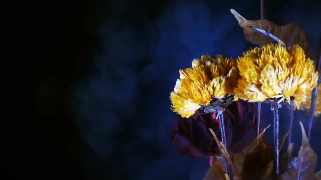 Yellow Flowers In Smoke: Stock Video