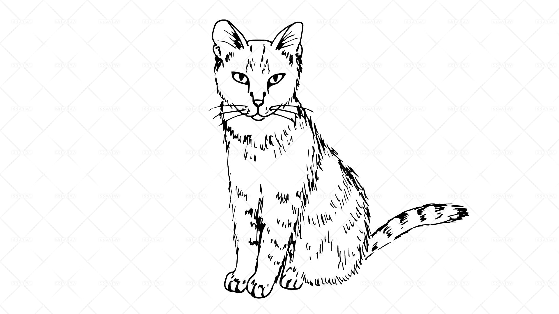 Hand Drawn Vector. Cute Cat Sitting and Smiling Stock Vector - Illustration  of drawing, cute: 175185838