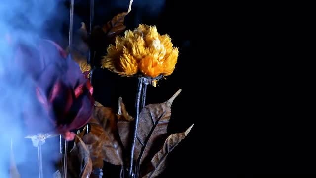 Yellow Flowers In Smoke 2: Stock Video