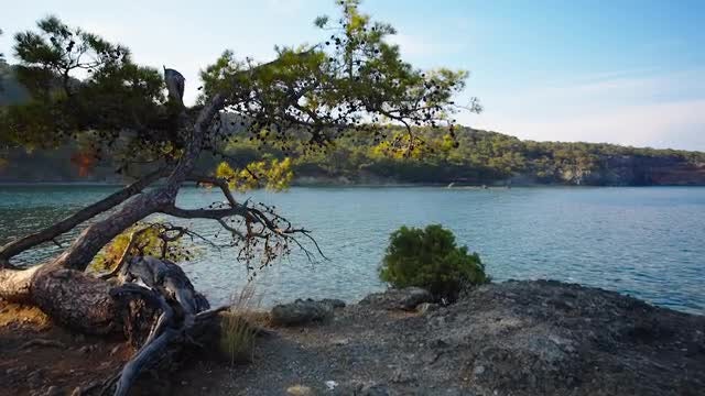 Seacoast At Sunset: Stock Video