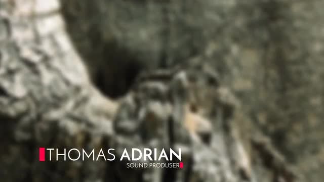 Motion Array Minimal Lower Third v2: After Effects Templates