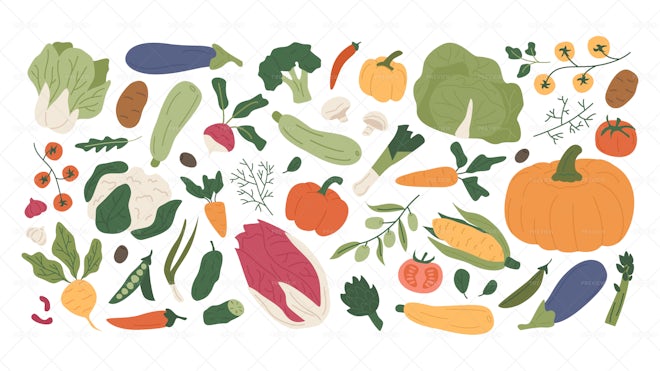 50 Vegetables Illustrations - Graphics | Motion Array