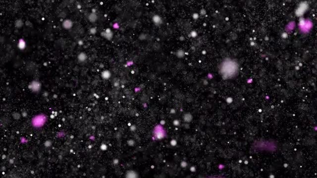 Romantic Wintery Overlay: Stock Motion Graphics