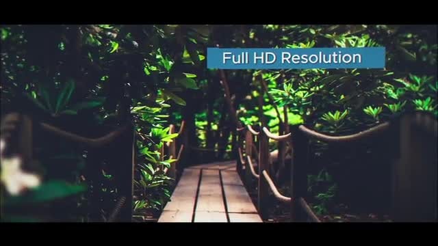 Dynamic Transition Promo: After Effects Templates