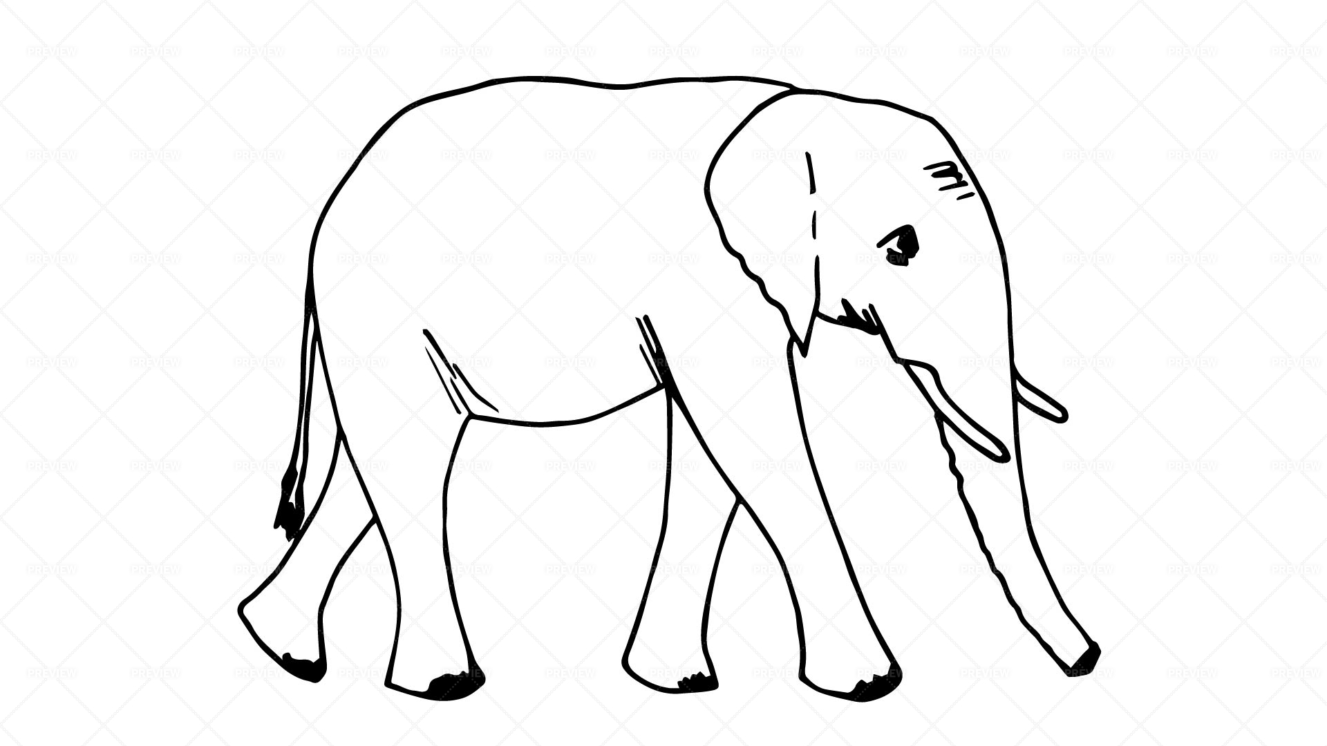 Elephant Outline Simple Vector Illustration Elephant Stock Illustration  1578856537 | Shutterstock