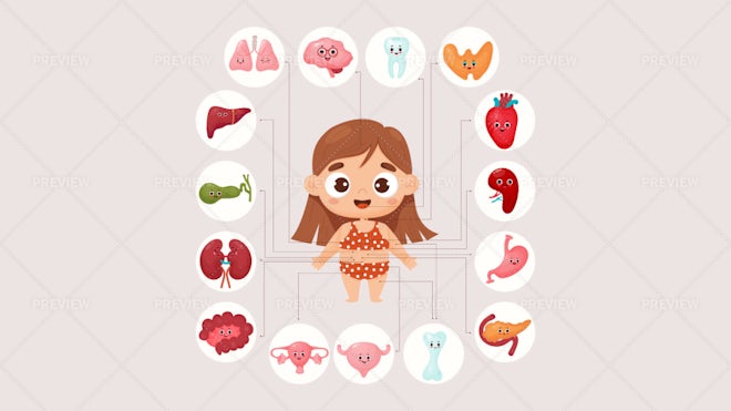 Seamless pattern with internal organs. Human body anatomy. Health care and  medical education background. #2923914