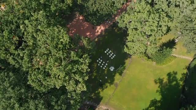 Aerial Of Wedding In Park: Stock Video