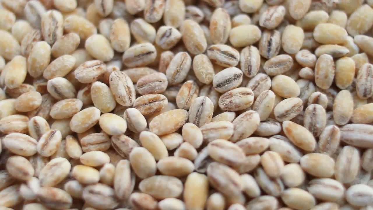 Pearl Barley Grains Stock Video Motion Array