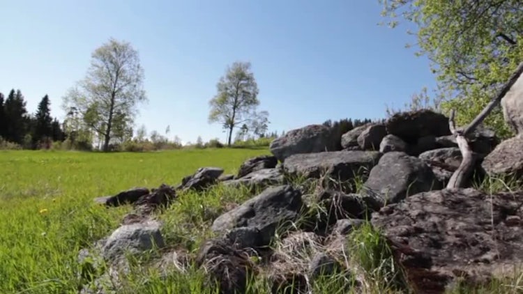 Beautiful Nature Scenery: Stock Video