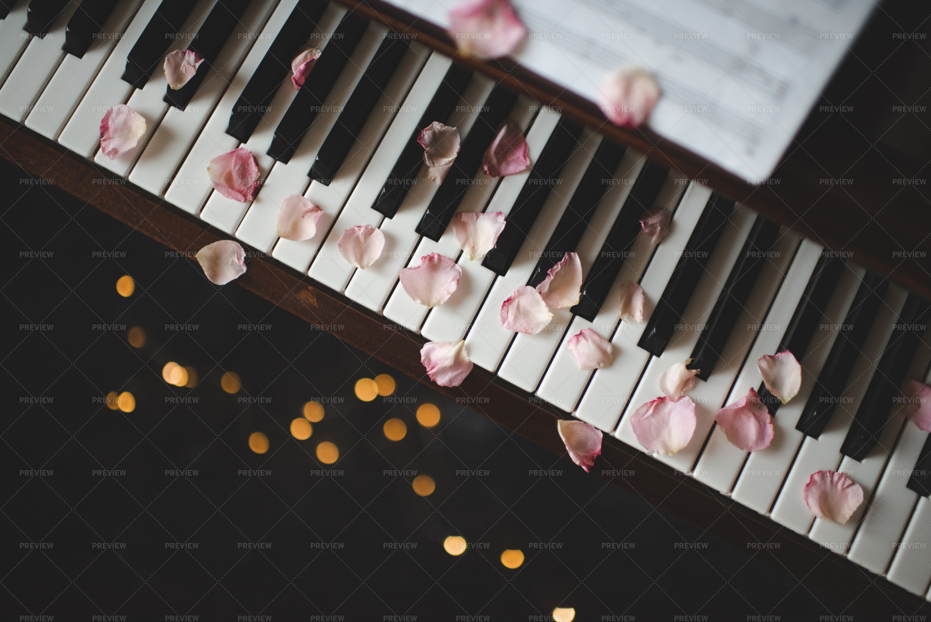 Petali di rosa sui tasti del pianoforte Vista dall'altoPetali di rosa sui tasti del pianoforte Vista dall'alto  