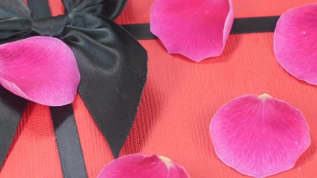 Pink Petals And Gift: Stock Video