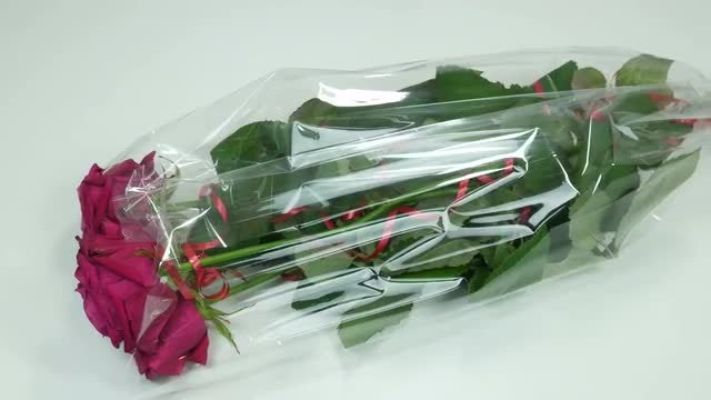 Beautiful Roses: Stock Video