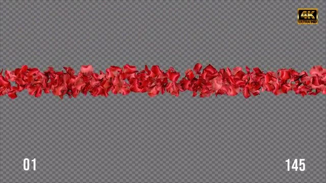 Rose Petal Pack 03: Stock Motion Graphics