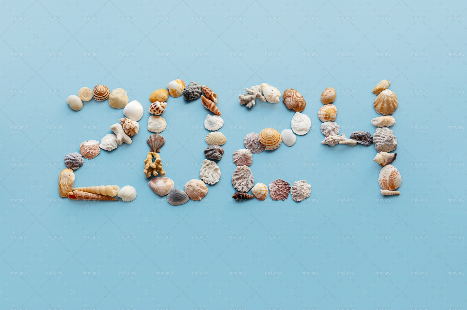 2024 Made By Seashells Stock Photos Motion Array   Preview 1705552 LIsbRWShgxwZUdgn Large 