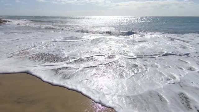 Shoreline Waves: Stock Video