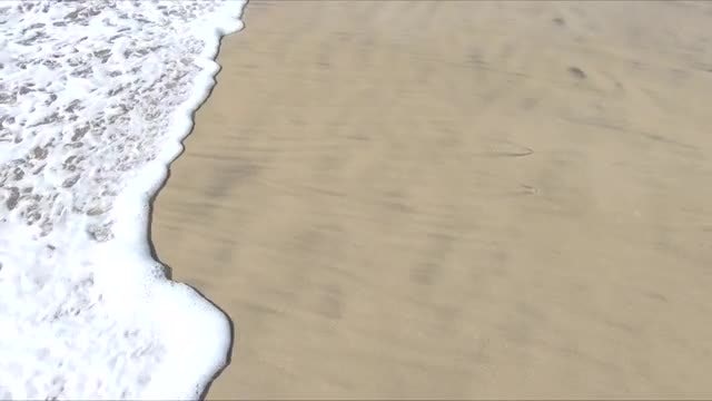 Sandy Beach And Waves: Stock Video
