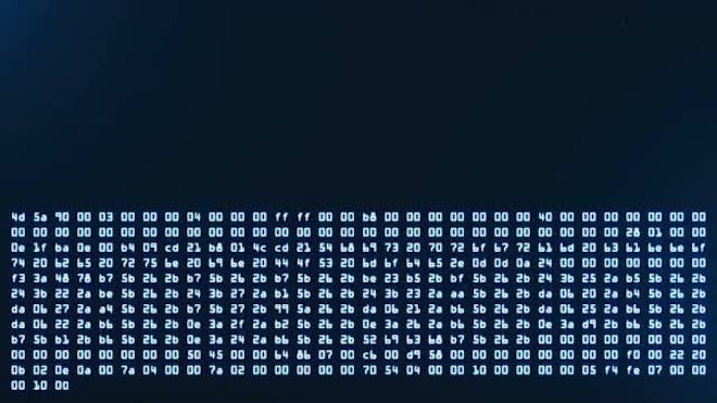 Blue Screen HEX Code Programming - Stock Motion Graphics | Motion Array