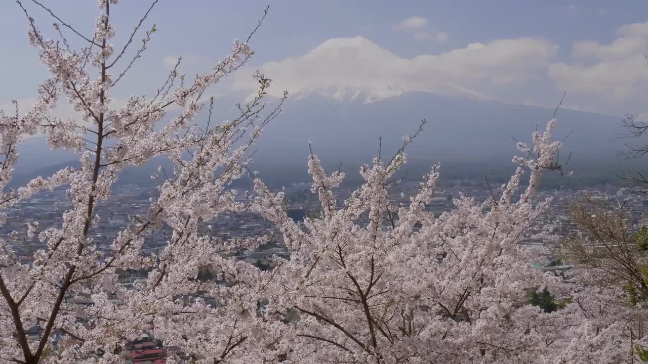 Mount Fuji - Stock Video | Motion Array