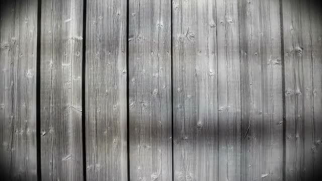Wooden Texture: Stock Motion Graphics