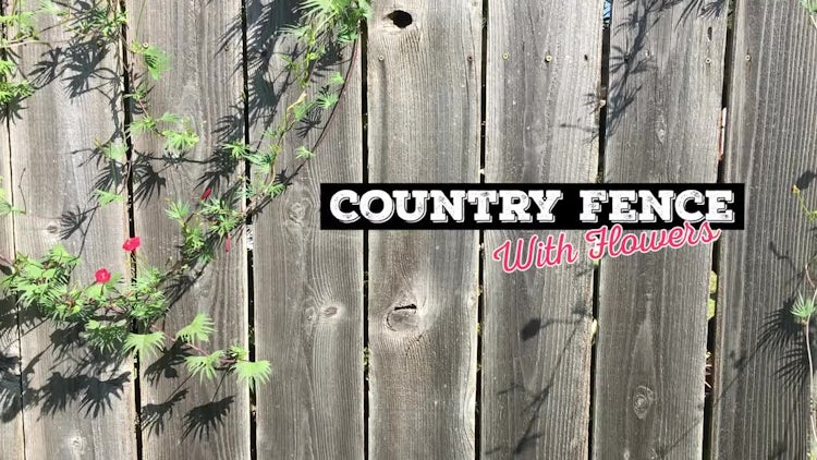 Country Fence #1: Stock Video
