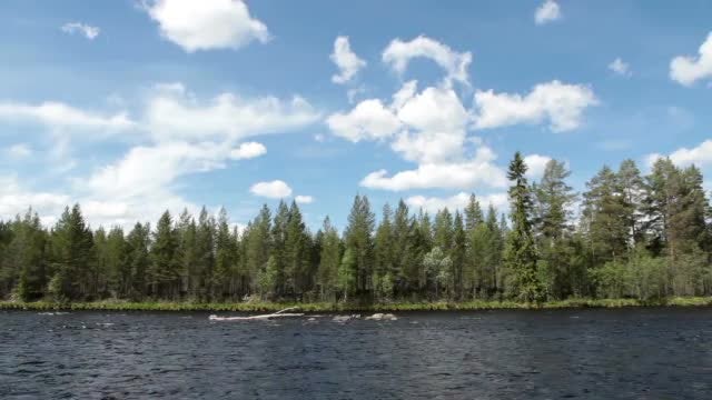 The River: Stock Video