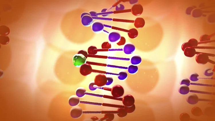 DNA Damaged By Particle: Stock Motion Graphics