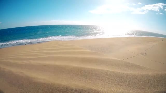 Sandy Beach Dunes: Stock Video