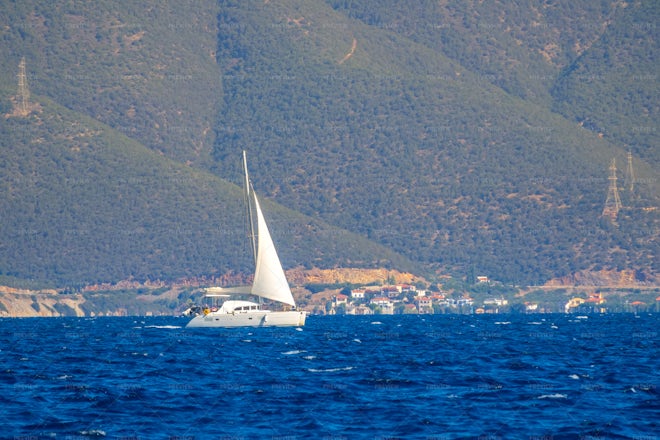 white dolphin sailing yacht