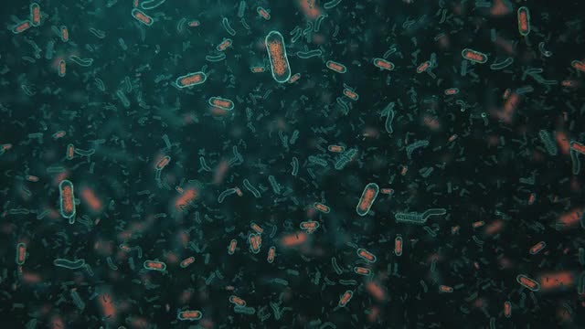 Bacteria Pack: Stock Motion Graphics