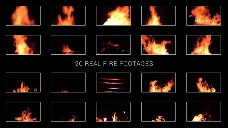 20 Pack Real Fire: Stock Video