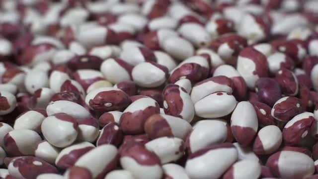 Rotating Spiced Beans: Stock Video