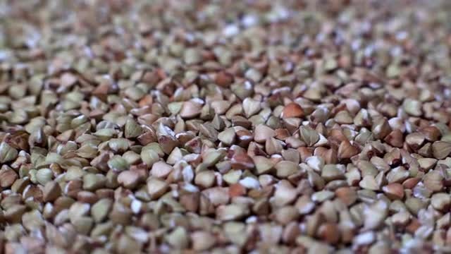 Rotating Buckwheat: Stock Video