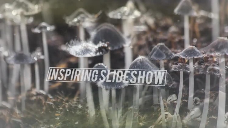 Inspiring Slideshow: After Effects Templates