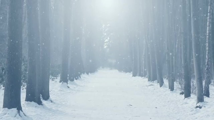 Winter Scenery: Stock Motion Graphics