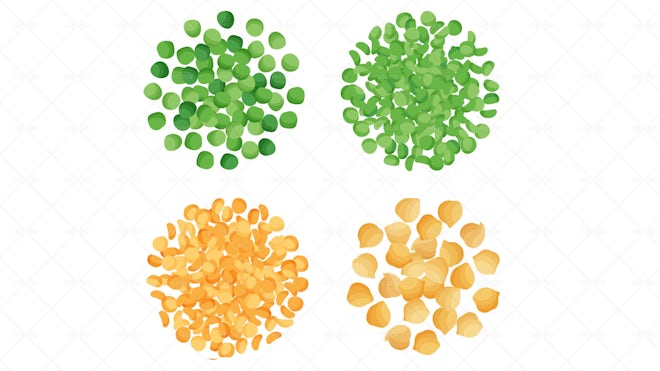 4 Types Of Peas Samples Illustrations - Graphics | Motion Array