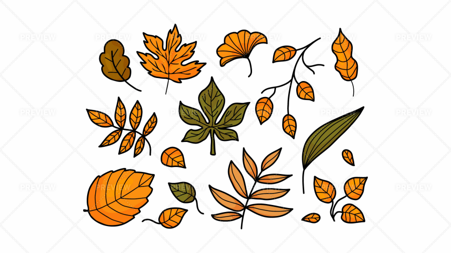 Autumn leaves. Vector isolated set of maple, oak and rowan leaves. Hand  lettering Fall. Ideal for wallpaper, gift paper, pattern fills, web page  background, fall greeting cards. 13938750 Vector Art at Vecteezy