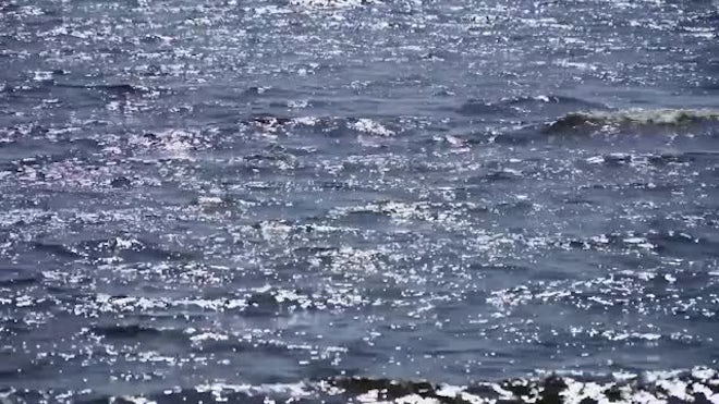 Sparkling Sea Stock Video Motion Array