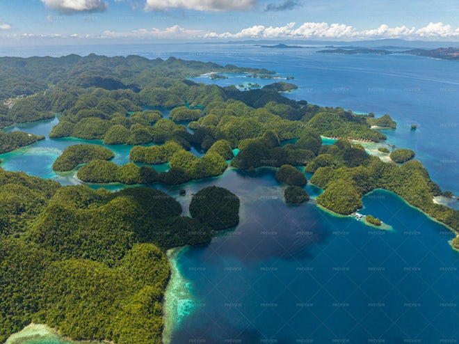 Lagoon And Rainforest - Stock Photos | Motion Array