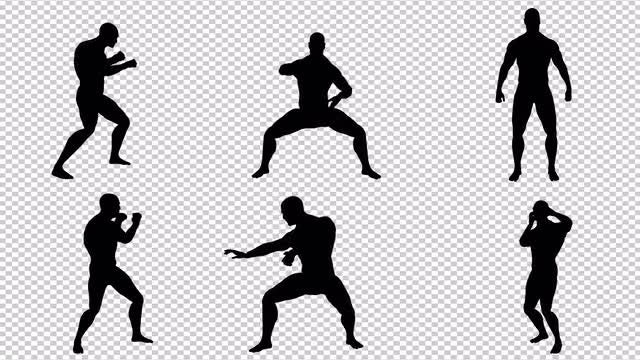 MMA Fighter In Action Pack: Stock Motion Graphics