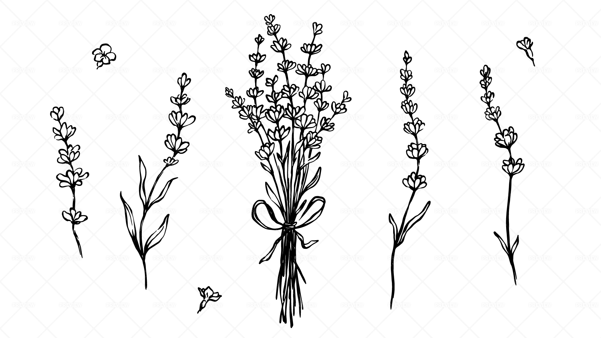 Lavender Plant and Flowers in Hand Drawn Style 3090020 Vector Art at  Vecteezy