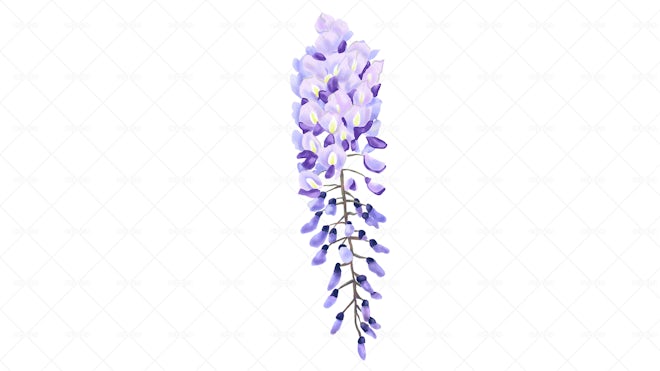 Wisteria Purple Color Background Silhouettes Flowers Vertical Mobile  Postcard. Generative AI Stock Illustration - Illustration of advertising,  fashion: 274313773