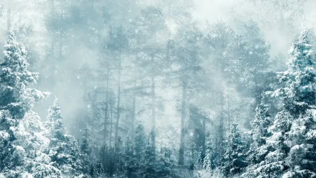Winter Dream: Stock Motion Graphics